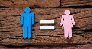 Gender Equality Program