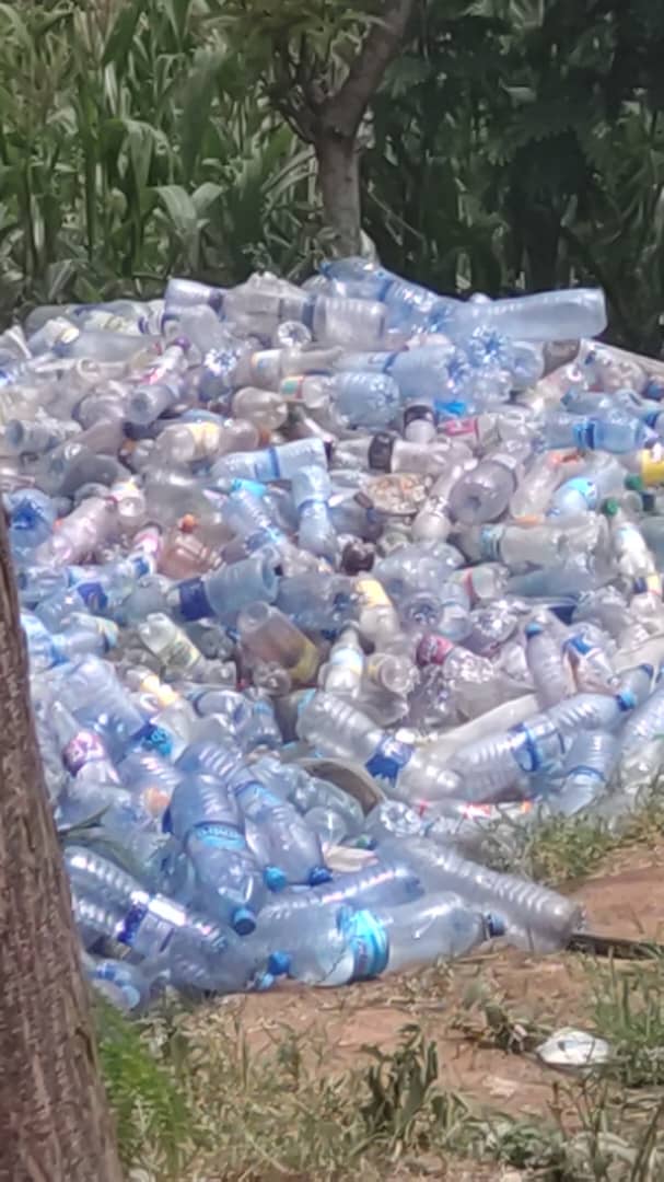 Plastic management